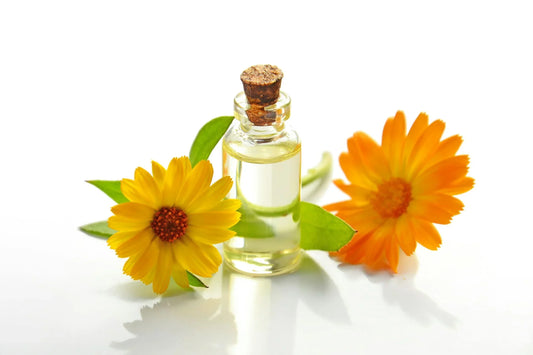 Pheromone Oil: Uses, Benefits, and How to Choose the Right One