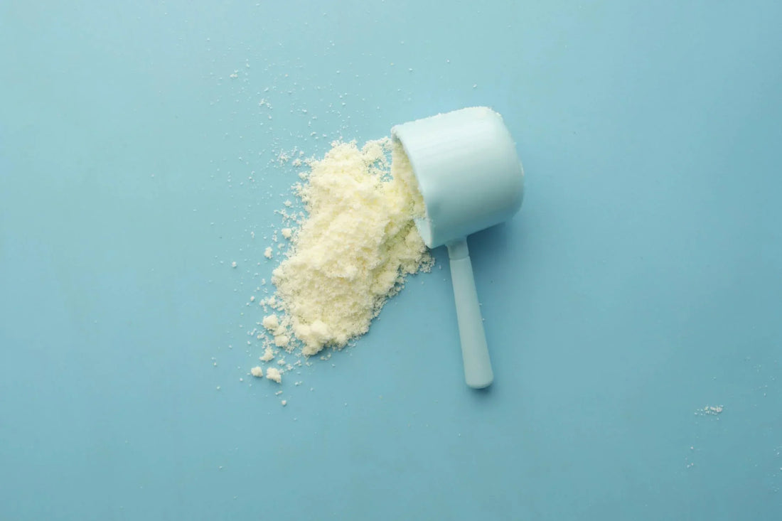 Best Protein Powder for Weight Loss: Top Picks and Buying Guide